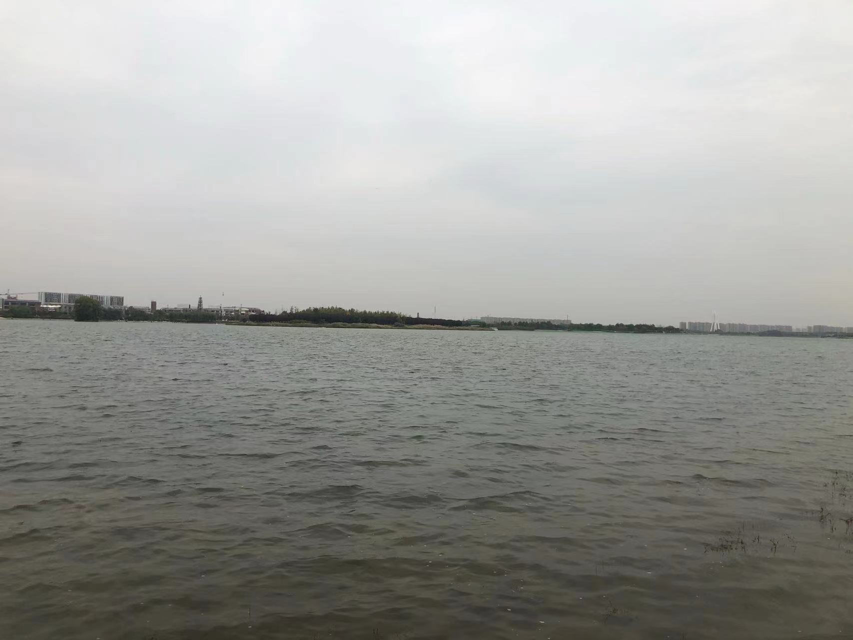 微信视频号​流量红利引发差异化的运营理念